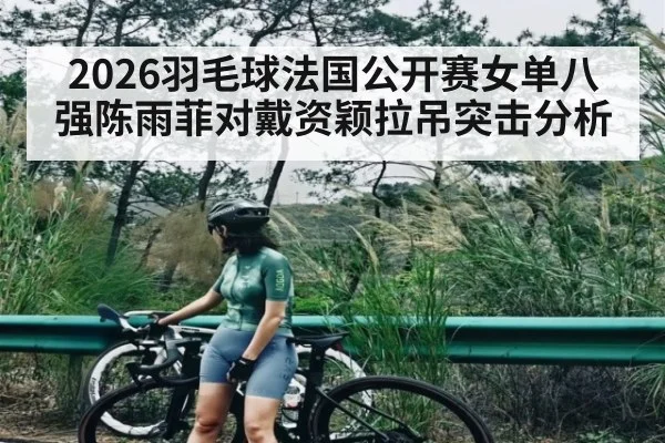 2026羽毛球法国公开赛女单八强陈雨菲对戴资颖拉吊突击分析
